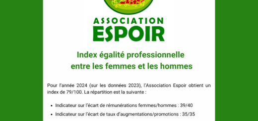 Index égalité professionnelle 2024